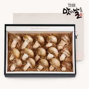무농약 참송화버섯 1등급 시그니쳐 선물세트 800g/14~16개