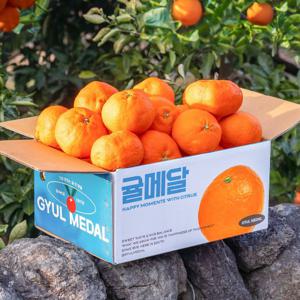 귤메달 레드향 2kg 3kg 5kg