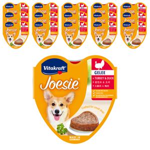 비타크래프트 조에시 강아지 습식사료 칠면조&오리 85g X 15 [BOX]