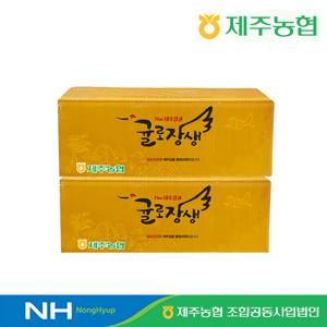 제주 귤로장생 레드향 2kg + 2kg