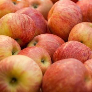 [팜보스]경북 아삭한 부사사과 세척사과 2kg 4kg 산지직송