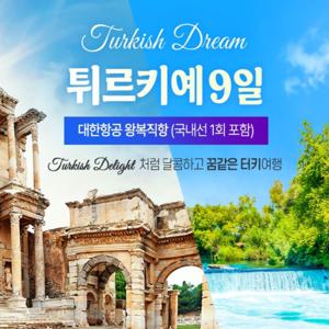 튀르키예 9일 #대한항공 #국내선1회