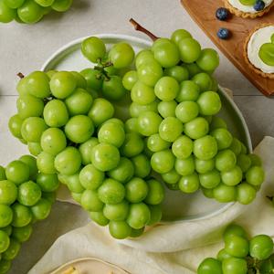 팜스프링 달콤한 망고포도 샤인머스켓 특품 2kg(3-4수) 외
