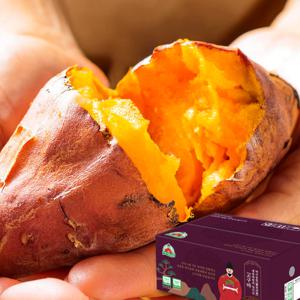 [무농약/GAP인증] 세종대왕님표 프리미엄 여주 꿀고구마(소담미품종) 3kg