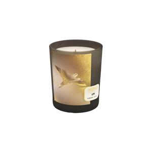 메모 센티드 캔들 립스180g 튜베로즈