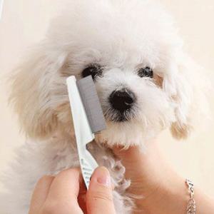 강아지 콤빗 눈꼽빗 고양이브러쉬 촘촘빗 참빗 소형