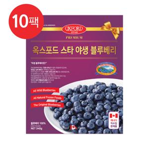 옥스포드 캐나다 야생 냉동 블루베리 340g x 10팩