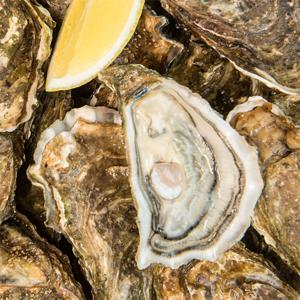 품질보장 제철 통영 석화 굴 2kg 외 중량별