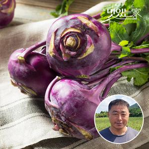 제주직송 콜라비 3kg 특품 外 중량별