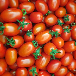 대추 방울토마토 2kg 5kg