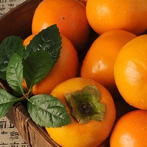 아삭한 국내산 단감 10kg(71-80과)