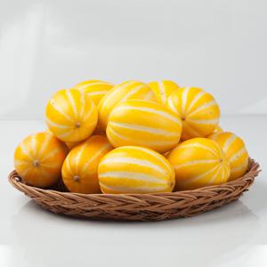 아삭아삭 달콤한 성주 참외 1kg 랜덤과 외