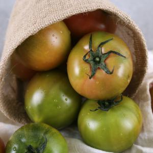 대저 농협 인증 대저 토마토 1.5kg / 2kg / 2.5kg