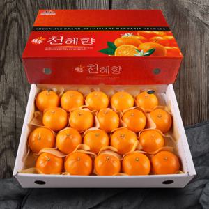 [올찬] 천혜향 선물세트(왕특대/특대) 5kg(13~23과) / 제주직송