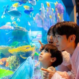 |10%할인| 씨라이프코엑스아쿠아리움 1인 종일권_대/소인공통 주중/주말 및 공휴일 이용 가능