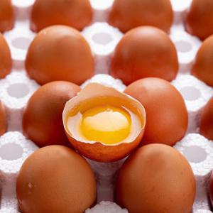 파손보상 유정란  60구 난각번호 1번 (HACCP인증/무항생제 인증)