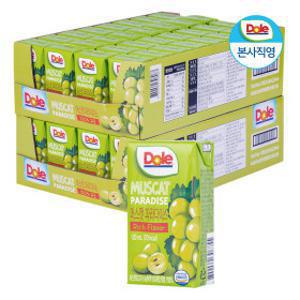 (1+1) Dole 과즙100% 머스캣 파라다이스 주스 32팩 2박스+주스홀더