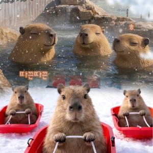 |10%할인| 캐리비안베이 이용권 특가 (~3/2)