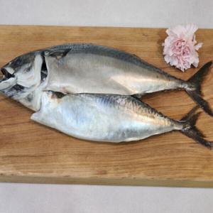 국내산 부산 손질 대왕 자반고등어 10미 대짜 (3.8kg내외) 다대포 겨울 간 고등어 구이 조림 / 한정특가
