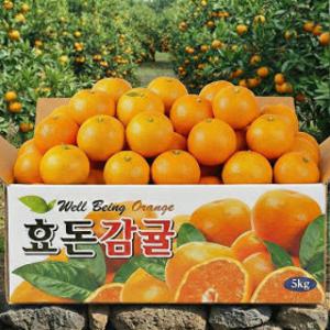 (신선집중) 제주 서귀포 타이벡 효돈감귤 1.5kg로얄과(S-M)/ 2박스 구매시 1.5kg추가 총4.5kg발송/최종15920