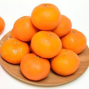 제주도 레드향 가정용 4.5kg 실속형 혼합과