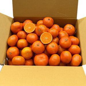 선물세트 800박스한정수량 15~16Brix 초고당도 산하홍 3KG 혼합과