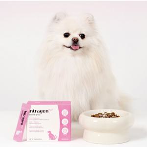 강아지 고양이 유산균 강아지 소화제 위장건강 종합영양제 인트라젠 플러스 30개입