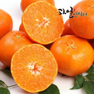 (신선집중) 제주직송 레드향 벌크 중대과 2.5kg (7~13과)