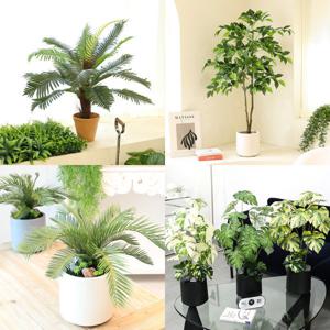 인조나무 조화나무 화분 이사 개업선물 인조목 32종 / 아레카야자 극락조 몬스테라