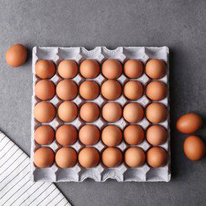 (전단상품)신선특란 30입 1800G