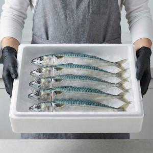 (신선집중) 동아푸드 부산 자갈치 국내산 10마리 손질 자반 간고등어 겨울 참고등어 1.9kg 2세트 구매 소스