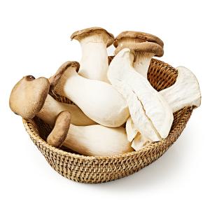 (신선집중) 국내산 무농약 새송이 버섯 2kg/못난이