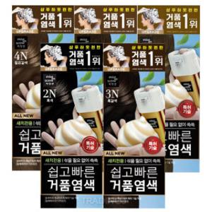 미쟝센 올뉴 쉽고빠른 거품 새치 염색약 1+1 (2N 3N 4N 5N 6N) 흑색 짙은 흑갈색