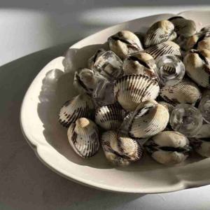 국내산 벌교 새꼬막 씨알 굵은 1kg  65미 내외 대 중대 꼬막 비빔밥 무침