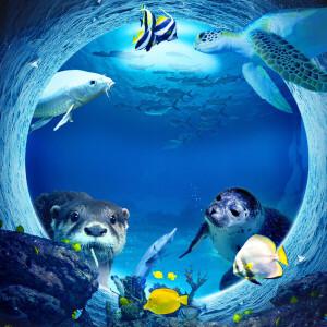 |특가| 대전 아쿠아리움 입장권/대전아쿠아플라넷/수족권/아이랑/키즈카페/가볼만한곳/여행/체험/데이트