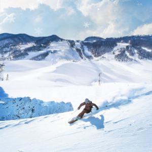 경기 25/26 지산리조트 주중야간 리프트/장비렌탈 이용권_지산/지산리조트 리프트/리프트권