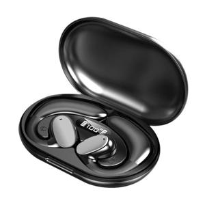 너츠 블루투스 이어폰 오르골 NUTZ T100