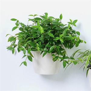 실내정원 자동급수 벽걸이 화분 / 저면관수 원형화분