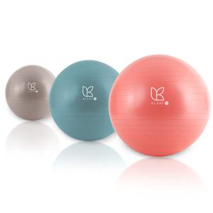 아리프 PVC 안티버스트 임산부 짐볼 75cm 요가 운동볼