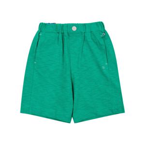 [빈]그린 다이마루 반바지 BX23PT09GN