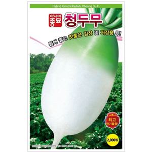 아시아종묘 씨앗 무 청두무 2000립