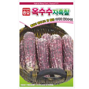 아시아종묘 씨앗 옥수수 자흑찰 30g