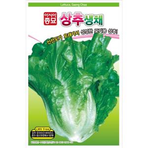 아시아종묘 씨앗 상추 생채 1500립 LMV Free
