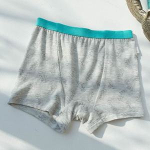 [택가21,800원][헤이에이] 공룡 남아 드로즈 HQFDR02