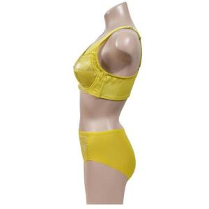 햄팬티 B컵 쨍한 등살정리 부직포브라