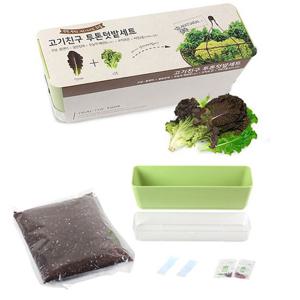 텃밭세트 상추키우기 식물재배기