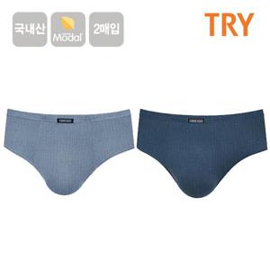 TRY 국내산 모달스판 남성 브리프팬티 삼각속옷 2매