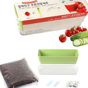 배양토 오이 방울토마토씨앗 플랜터 세트