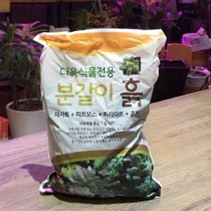 한성 선인장/다육이 전용 분갈이 흙 2.8L 1.5Kg 흙
