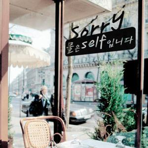 아트박스/꾸밈 ch250-sorry물은셀프입니다(대형)_포인트스티커